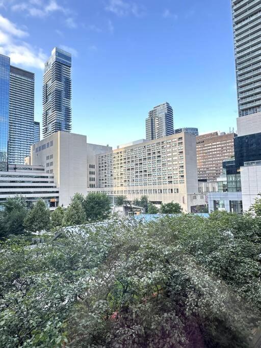 Best Location In Downtown- Walking To Eaton Centre, Nathan Phillips Square, Yonge-Dundas, Ikea,Transit Toronto Exteriör bild